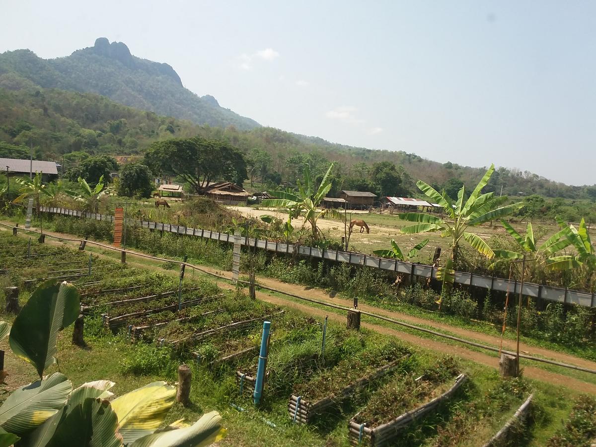 Him Doy Muang Pan Resort ฮิมดอยเมืองปานรีสอร์ท Ban Sop Pan Kültér fotó
